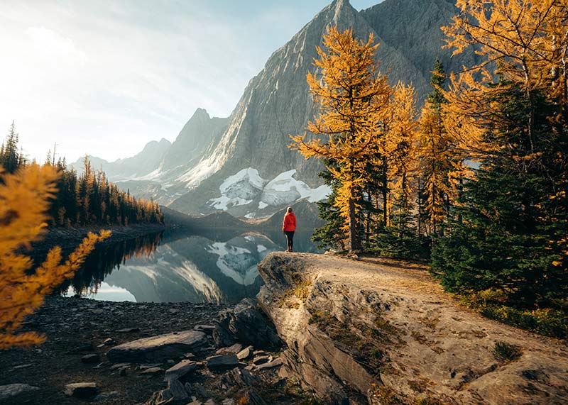 person standing by lake surrounded by mountains and larch trees in fall